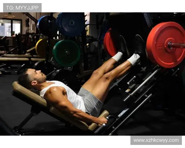 科学健身全面提升体能与健康塑造理想身材的高效训练指南