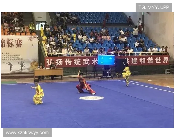 全国锦标赛特别报道：西安篮球队逆袭之路的传奇故事与奋斗精神