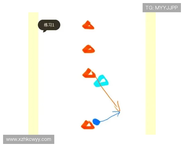 成都飞盘队区域防守战术解析与实战应用探讨