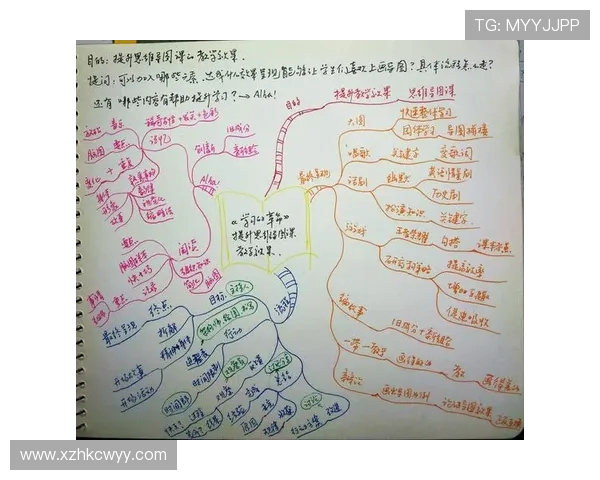 王秀英的乒乓球人生深度对话与启示探索之旅