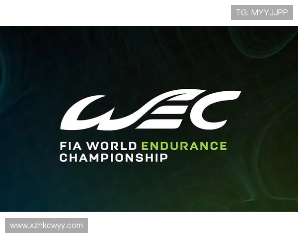 聚焦英雄联盟战队WE的耐力与坚持精神探讨