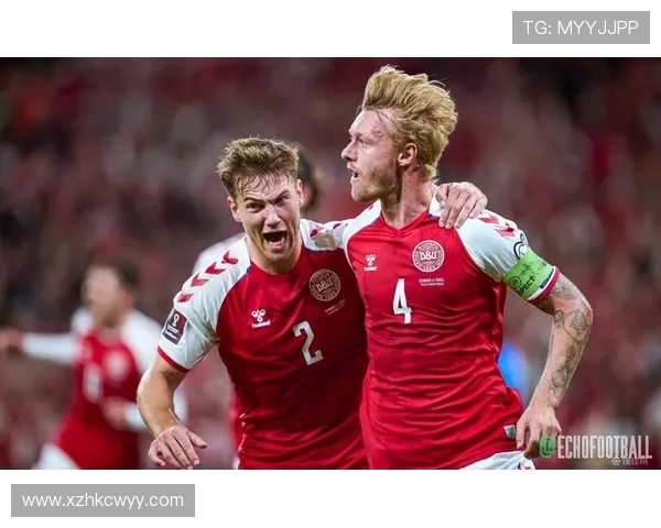 丹麦与波兰世预赛2017精彩对决回顾与分析